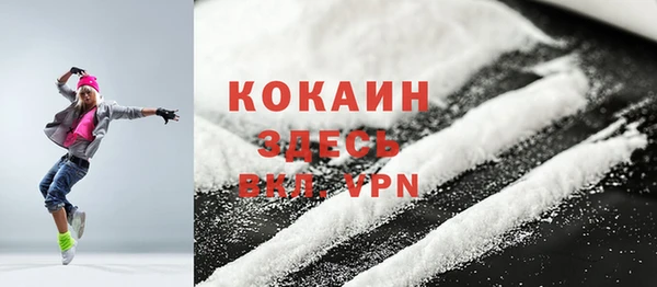 крисы Горняк