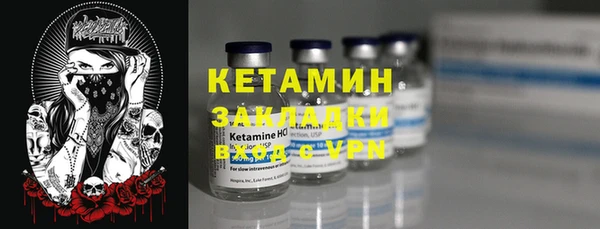крисы Горняк