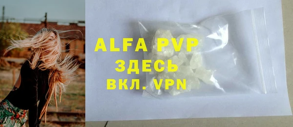 крисы Горняк