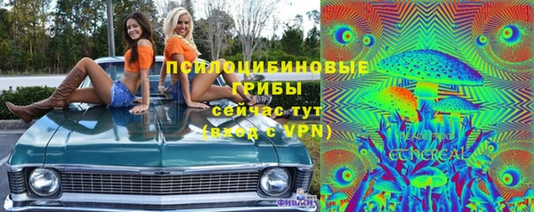 дурь Шали