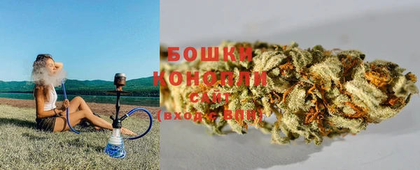 крисы Горняк