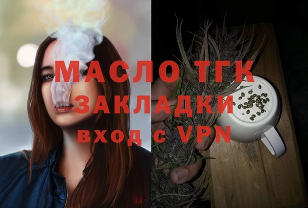 крисы Горняк