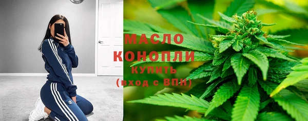 крисы Горняк